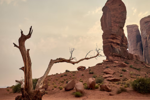 Mojave Desert