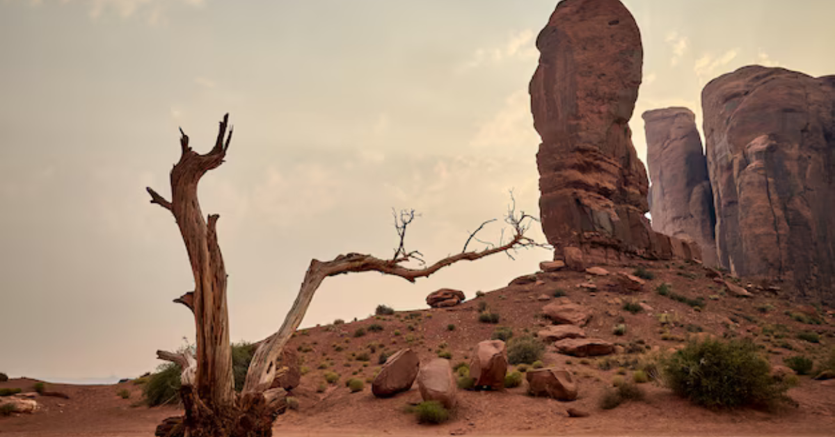 Mojave Desert