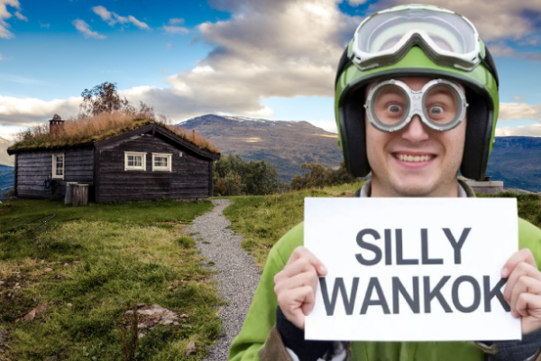 Silly Wankok: The Quirky Phenomenon Taking the Internet by Storm