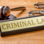 Criminal Lawyers: Champions of Justice in a Complex Legal System