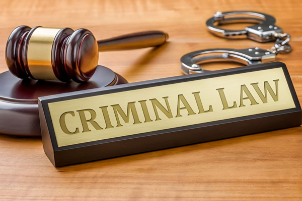 Criminal Lawyers: Champions of Justice in a Complex Legal System