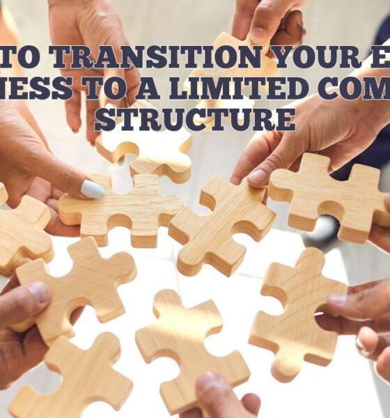 Transitioning Your Essex Business to a Limited Company: A Quick Guide