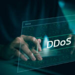 Safeguarding the Digital Realm: Navigating DoS and DDoS Attacks