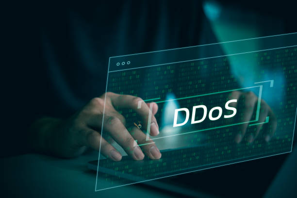 Safeguarding the Digital Realm: Navigating DoS and DDoS Attacks