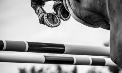 It Isn't Scary: Getting Started with Horse Jumps