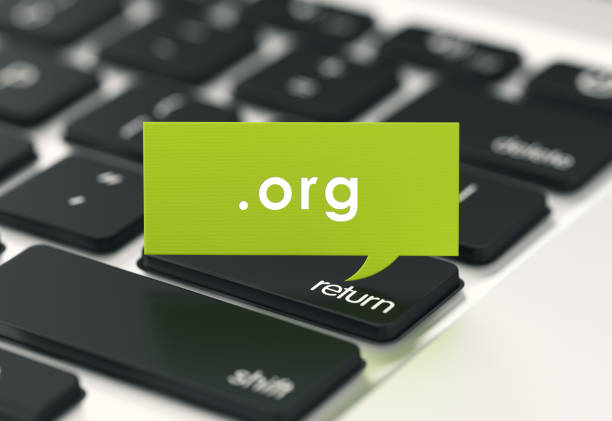 feedbackmagazines.org/: The Ultimate Guide to Insightful Reviews